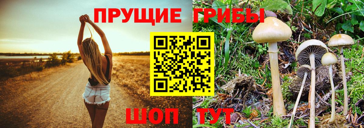 Псилоцибиновые грибы Magic Shrooms  Вход с VPN  как найти закладки  Лениногорск 